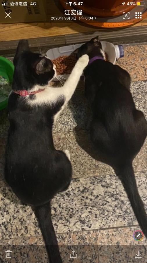 Hemei Homestay Homei Dış mekan fotoğraf