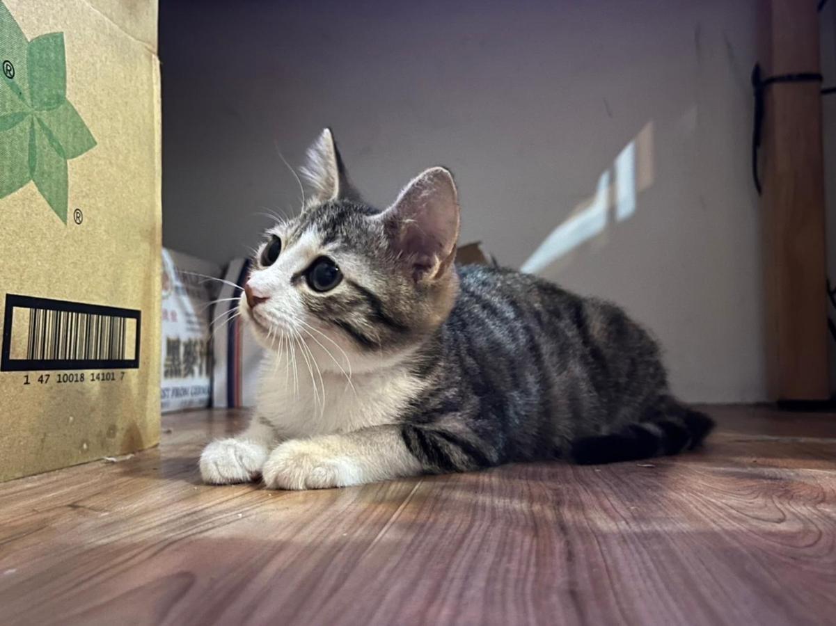 Hemei Homestay Homei Dış mekan fotoğraf